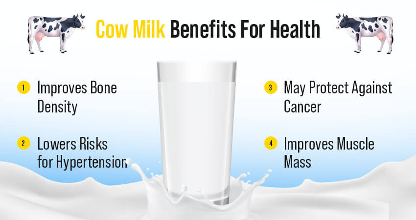 Cow Milk Benefits For Health