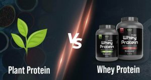 Plant Protein VS. Whey Protein: Which is a Better Supplement?