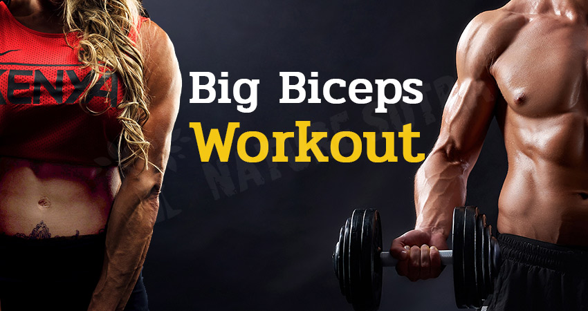 Big Biceps Workout: Exercises and Tips For Bigger Biceps