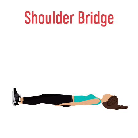 Shoulder Bridge Vector Gif Image - Bodyweight Workout