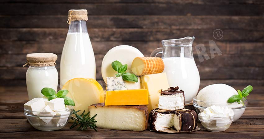Dairy Products in Diet