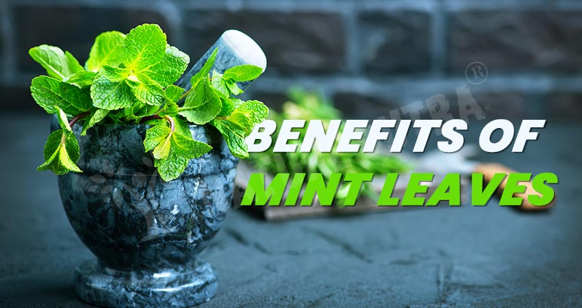 Top 10 Benefits of Mint Leaves That You Need To Know!